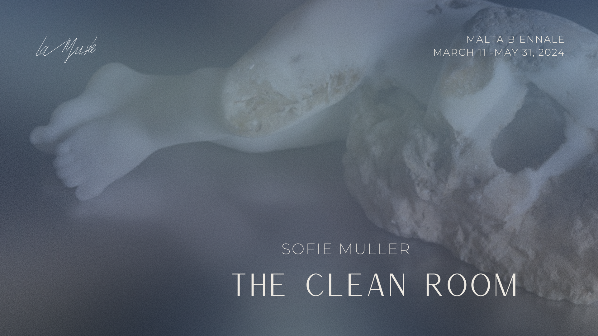 Sofie Muller: The Clean Room