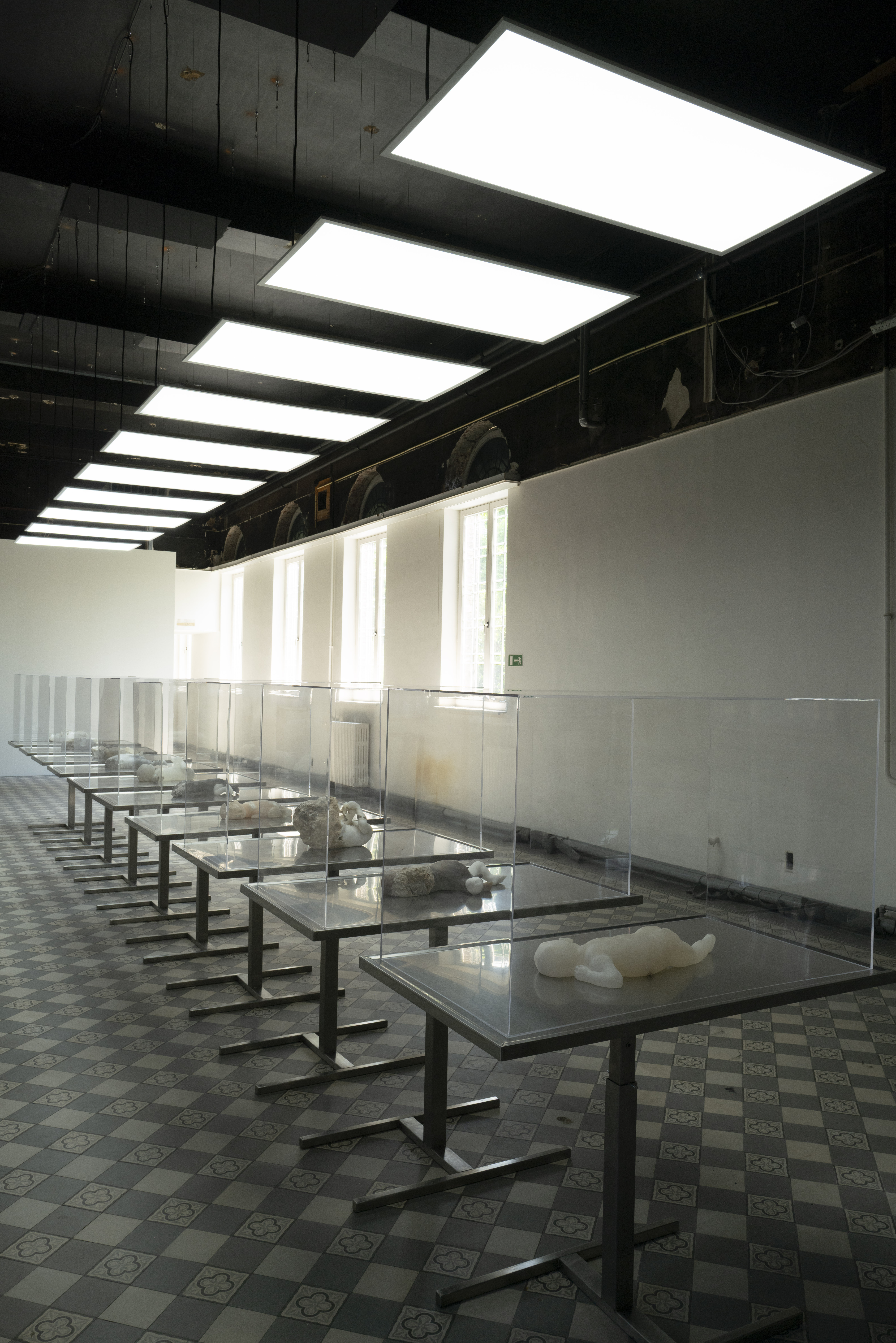 The Clean Room
